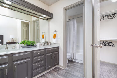 Model Bathroom- The Alto